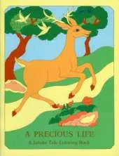 Precious Life/ The Magic of Patience: A Jataka Tale Coloring Book
