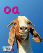 Alpha Stars Oa