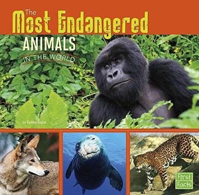 All About Animals Most Endangered Animals in the World