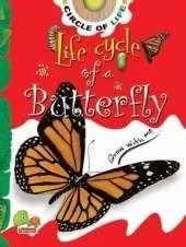 Life Cycle of a Butterfly: Key stage 1