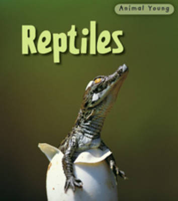 Reptiles
