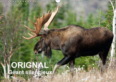 Orignal. Geant Silencieux: L'Orignal Du Canada Au Fil Des Quatre Saisons.