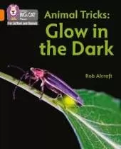 Animal Tricks: Glow in the Dark: Band 06/Orange
