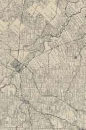19th Century Map of Dallas County, Texas - A Poetose Notebook / Journal / Diary (50 pages/25 sheets)