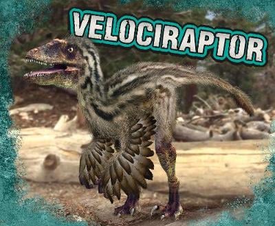 Dinosaurs Pack A of 6
