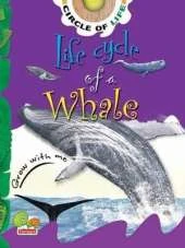 Life Cycle of a Whale: Key stage 1