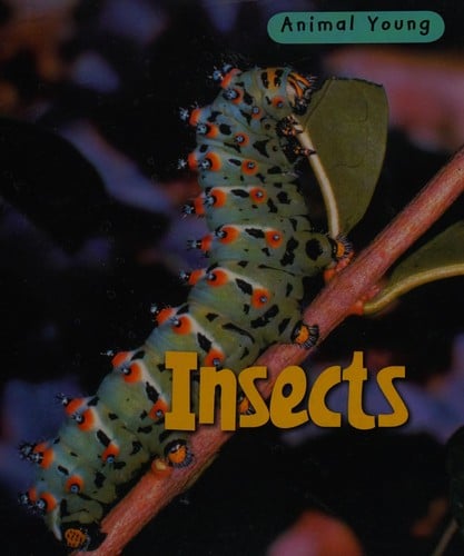 Insects