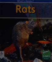 Rats