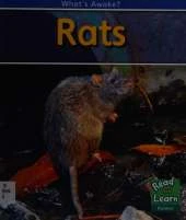 Rats