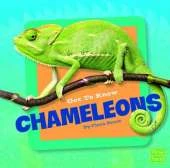 Get to Know Chameleons (Get to Know Reptiles)