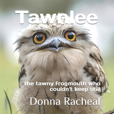 Tawnlee: the tawny frogmouth who couldn't keep still