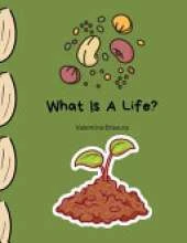 What Is A Life?