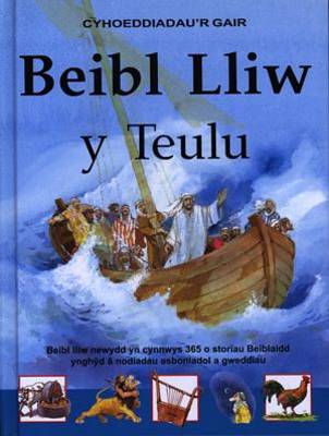 Beibl Lliw Y Teulu