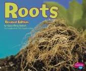Plant Parts Roots