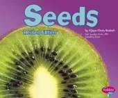 Plant Parts Seeds