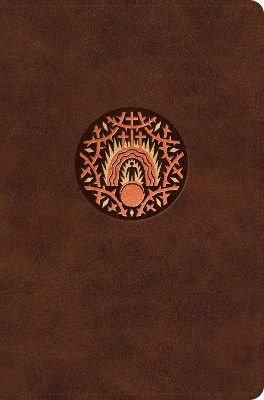 ESV The Biggest Story Holy Bible for Kids