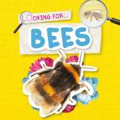 Bees