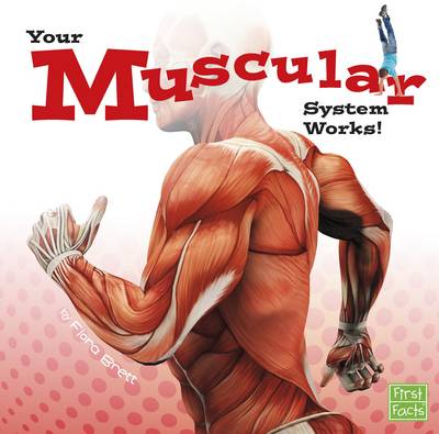 Your Muscular System Works (Your Body Systems)