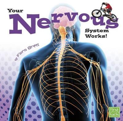 Your Body Systems Your Nervous System Works
