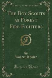 The Boy Scouts as Forest Fire Fighters (Classic Reprint)
