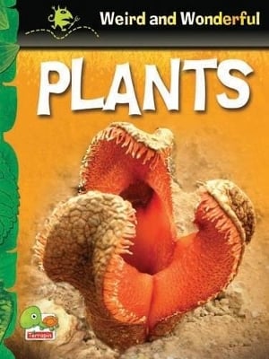 Plants: Key stage 1