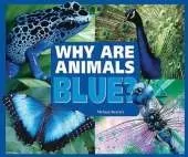 Why are Animals Blue?