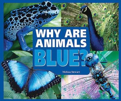 Why are Animals Blue?
