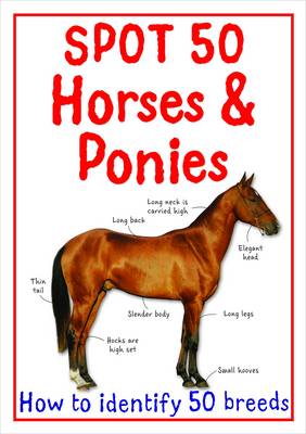 Spot 50 Horses and Ponies