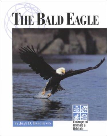 The Bald Eagle