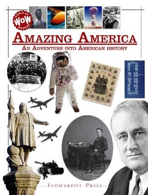 Amazing America