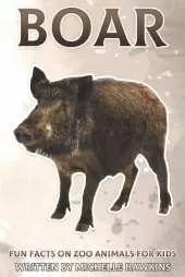 Boar: Fun Facts on Zoo Animals for Kids #16