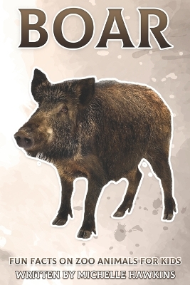 Boar: Fun Facts on Zoo Animals for Kids #16