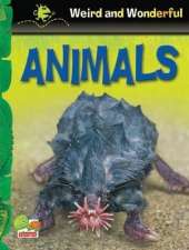 Animals: Key stage 1