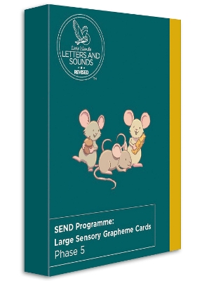 SEND Programme: Large Sensory Grapheme Cards: Phase 5