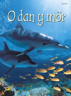 O Dan y Mor