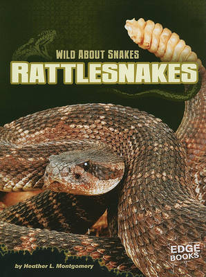 Rattlesnakes