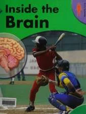 Inside the Brain