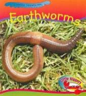 Worm