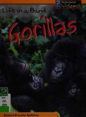 Animal Groups: Life in a Band of Gorillas Hardback