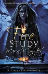 Fire Study