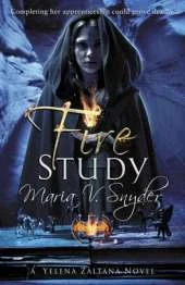 Fire Study