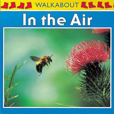Walkabouts: In The Air