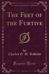 The Feet of the Furtive (Classic Reprint)