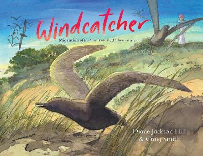 Windcatcher: Migration of the Short-tailed Shearwater