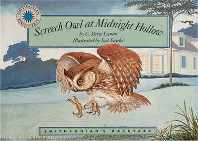 Screech Owl at Midnight Hollow