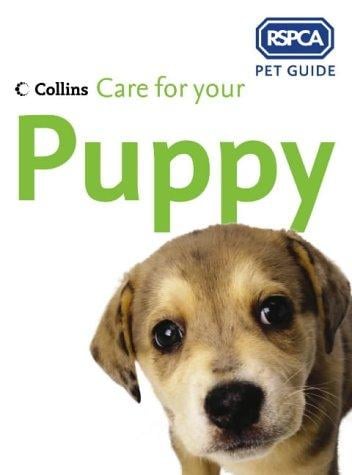 RSPCA: Care For Your Puppy