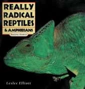 Really Radical Reptiles and Amphibians: Amazing Animals