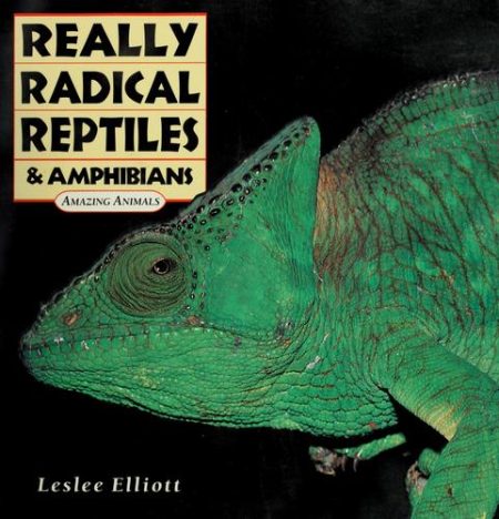 Really Radical Reptiles and Amphibians: Amazing Animals