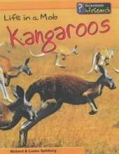 Animal Groups: Life in a Mob of Kangaroos Hardback