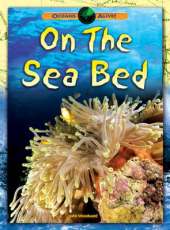 Oceans Alive: On The Sea Bed
